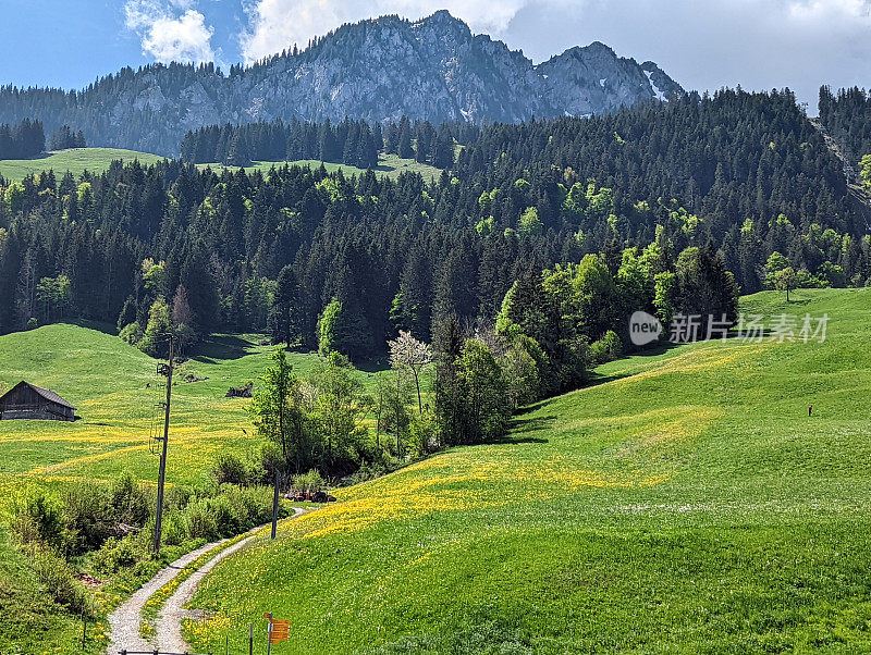 春天，在瑞士阿尔卑斯山脉格鲁耶尔(Gruyere)附近的弗里堡州(Fribourg Canton)的琼(Jaun)山村，泥土沿着山脉穿过草地